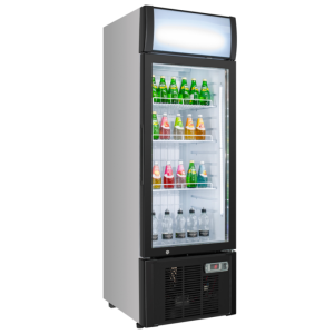 Refrigerated Beverage Display Case - 300 L - Dynasteel