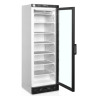 Vitrine congelador estático porta de vidro - Branco - 270 L | TEFCOLD UFSC371G