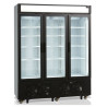 3-door glass freezer display with canopy - TEFCOLD UFSC1600GCP: preservation and presentation of products.