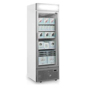 Glass Door Freezer Showcase with Silver Canopy - 440L TEFCOLD: optimal presentation of your frozen products