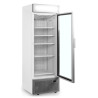 Vitrine Congelador Porta de Vidro com Canopy Silver - 440L TEFCOLD: apresentação ideal dos seus produtos congelados