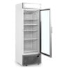 Vitrine Congélateur Porte Vitrée avec Canopée Silver - 440L TEFCOLD : présentation optimale de vos produits surgelés