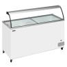 Chest Freezer with Curved Glass - 430 L TEFCOLD: Optimal storage for ice cream