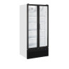 Armoire Refrigerada Bebidas 535L 2 Portas de Vidro TEFCOLD