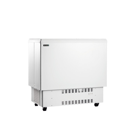 Refrigerador Baú para Bebidas Branco 226 L TEFCOLD - Frio & Armazenamento