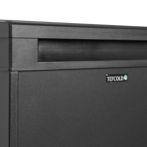 Mini Frigo Bar Noir TEFCOLD 24 L - Performant et Élégant