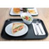 Self-service tray anthracite Olympia 340 x 450 mm - Resistant and elegant