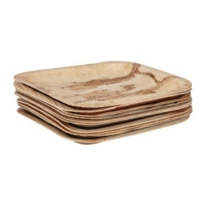Square palm leaf plates 200mm - Pack of 100 | Eco-friendly and practical tableware