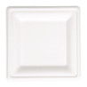 Compostable square plates made of bagasse 204mm - Pack of 50, eco-friendly and recyclable.
