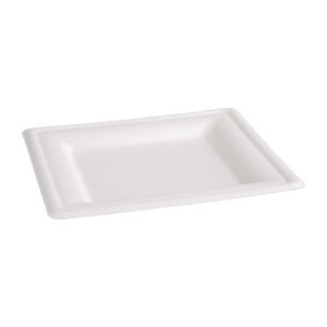 Assiettes carrées compostables en bagasse 204mm - Lot de 50, écologiques et recyclables.