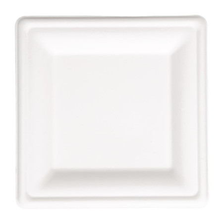 Square compostable bagasse plates 261 mm - Pack of 50 - Eco-friendly and practical
