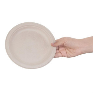 Compostable Oval Bagasse Plates 316mm - Pack of 50, Fast Delivery, High Quality