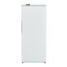Armadura Refrigerada Ventilada 527 L +2/+8 °C — Porta Cheia