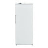 Armoire Refrigerada Ventilada 600 L - Interior ABS - Dynasteel