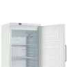 Armoire de Congélation 510 L Ventilada -18/-22°C Branca