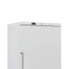 Armoire de Congélation 510 L Ventilada -18/-22°C Branca