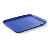 Tabuleiro Retangular Fast Food - Grande Modelo 450 x 350 mm - Azul