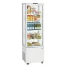 Vitrina Refrigerada Profissional - 235 L