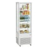 Vitrina Refrigerada Profissional - 235 L