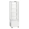 Vitrina Refrigerada Profissional - 235 L