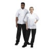 Casaco de Cozinha Branco de Mangas Curtas Boston - Tamanho S - Whites Chefs Clothing - Fourniresto