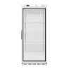 Positive Refrigerated Display Case 600 L - Polar - Fourniresto