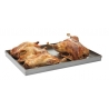 Baking tray 600 x 400