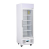 White Positive Refrigerated Display Case Series G - 218 L - Polar - Fourniresto