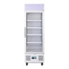 White Positive Refrigerated Display Case Series G - 218 L - Polar - Fourniresto