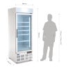 Vitrina refrigerada negativa ventilada 412L - Polar - Fourniresto