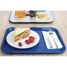 Plateau Self-Service 305 X 415Mm Bleu - Olympia KRISTALLON - Fourniresto