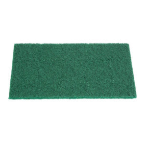 Esfregão Verde - 110 x 151 mm - Lote de 10 - Jantex