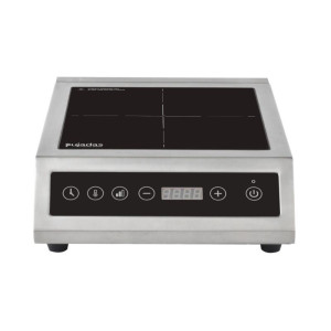 Commande Tactile Induction - Pujadas