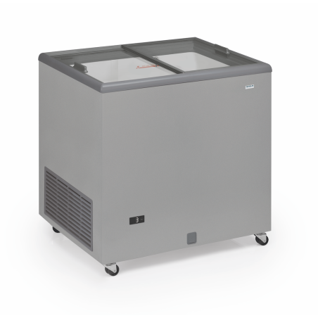 Congélateur Portes Coulissantes Vitrées - 220  L