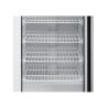 Armadura Congelamento 400 L Vidrada Frio Ventilado -18/-22°C