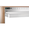 Hot Buffet Trolley - 3 x GN 1/1