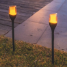 Torche Solar Farely - Lote de 4 - Lumisky