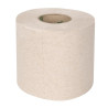 Rolos de Papel Higiênico Reciclado 2 Camadas 320 Folhas - Lote de 36 - Jantex
