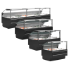 Vitrine de Serviço Premium para Peixe Fresco - 320 W