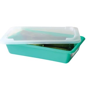 Bac Plat HACCP com Tampa e Grelha - 3 L - Verde - Gilac