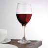 Solar Wine Glass - 310 ml - Set of 24 - Olympia