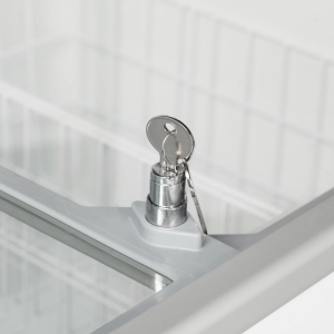 Vitrine de Sorvete Estática - 8 x 5 L