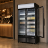 Vitrine de Bebidas 736 L 2 Portas de Vidro 2-8 °C R290
