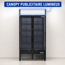 Vitrine de Bebidas 736 L 2 Portas de Vidro 2-8 °C R290