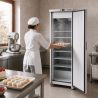 Armadura de Congelamento 380 L Frio Ventilado -18/-22 °C