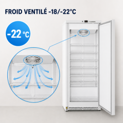 Armadura de Congelação 590 L Frio Ventilado -18/-22°C