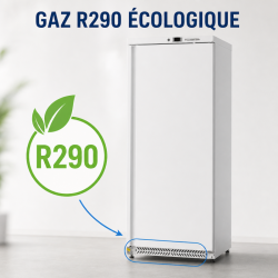 Armadura de Congelação 590 L Frio Ventilado -18/-22°C