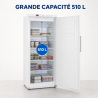 Armoire de Congélation 510 L Ventilada -18/-22°C Branca