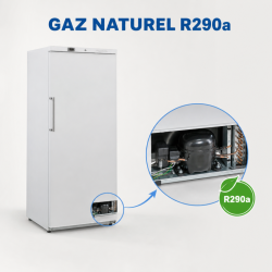 Armoire de Congélation 510 L Ventilée -18/-22°C Blanche