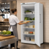 Armadura Refrigerada Ventilada 527 L +2/+8 °C — Porta Cheia
